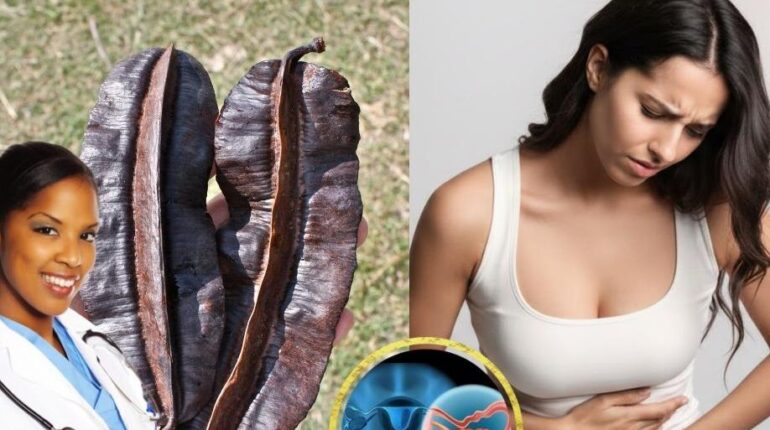 Bien-être féminin Équilibre reproducteur Fruit Aidan Gombo Goyave Plantes médicinales Traditions ancestrales