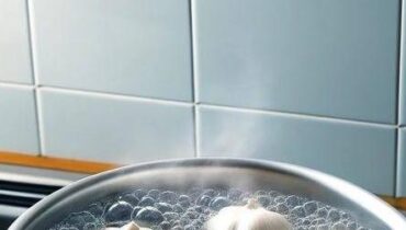 Accident du travail Bienfaits des plantes Cannelle Désinfection Entretien plantes Jardinage Recette naturelle