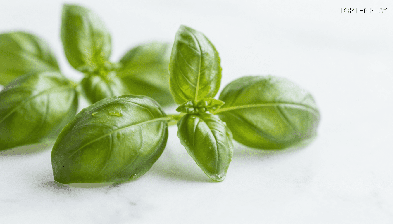 Symbolbild © TopTenPlay