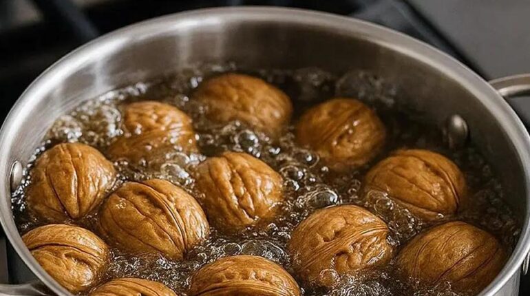 Alimentation saine Astuce cuisine Astuces culinaires Bienfaits des noix Recettes de Veau