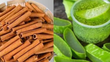 Actualités télévision Aloe vera bien être Cannelle Digestion Remèdes traditionnels