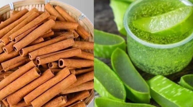 Actualités télévision Aloe vera bien être Cannelle Digestion Remèdes traditionnels