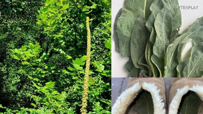 Symbolbild © TopTenPlay