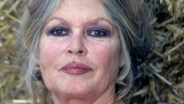 Actualités télévision Benjamin Castaldi Brigitte Bardot Homophobie Jarry racisme Réactions TPMP