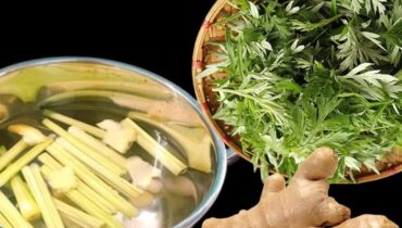 bien être Citronnelle Gingembre grippe Pamplemousse Remèdes naturels rhume