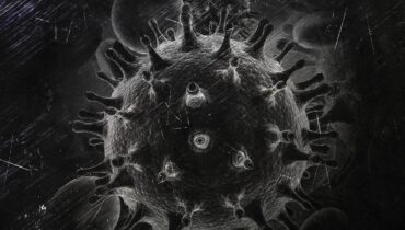 Don de cellules souches Guérison VIH Immunologie recherche médicale Rémision virale Traitement VIH VIH