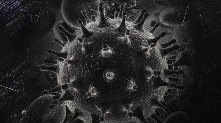 Don de cellules souches Guérison VIH Immunologie recherche médicale Rémision virale Traitement VIH VIH