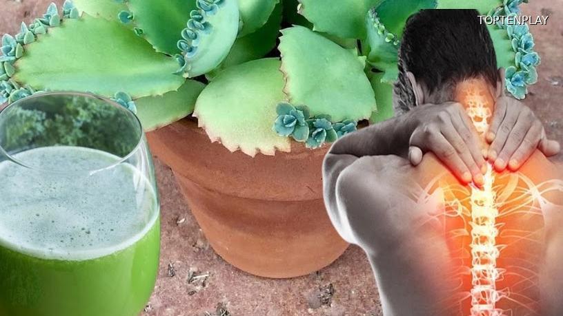 Symbolbild © TopTenPlay