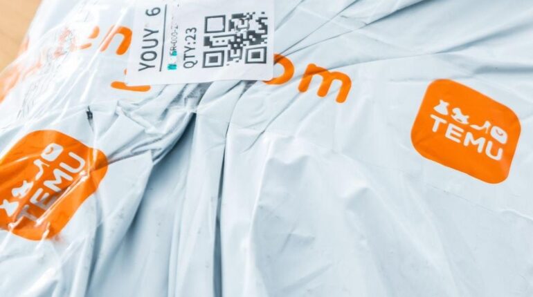 amendement Contrefaçon Disneyland Douanes Droit d'auteur Propriété intellectuelle Temu