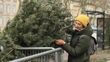 Croyances païennes Épiphanie Équilibre naturel LE RECYCLAGE. Sapin de Noël Traditions ancestrales