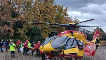 accident Accident de chasse Animaux sauvages Des regards de « scarface faits divers Sanglier