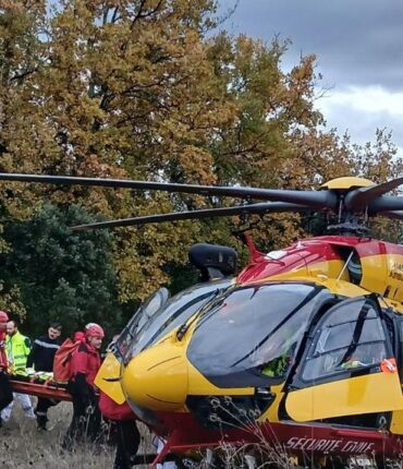 Chasse dans le Gard : un sanglier blesse gravement un père et son fils, le plus jeune héliporté en urgence
