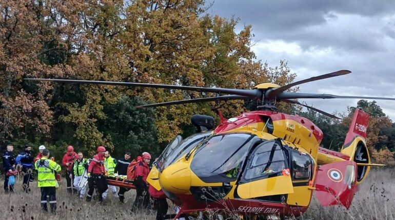 accident Accident de chasse Animaux sauvages Des regards de « scarface faits divers Sanglier