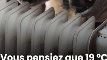 Chauffage au bois Confort Économie d'énergie faits maison Températures Thermostats connectés