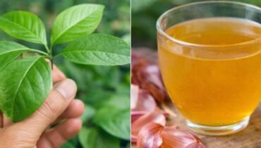 bien être Circulation Digestion Infusions Métabolisme nouvelle routine Tisane