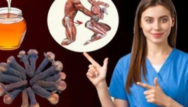 Bienfaits naturels Chèque énergie Clou de girofle Digestion Gingembre Immunité Miel bio