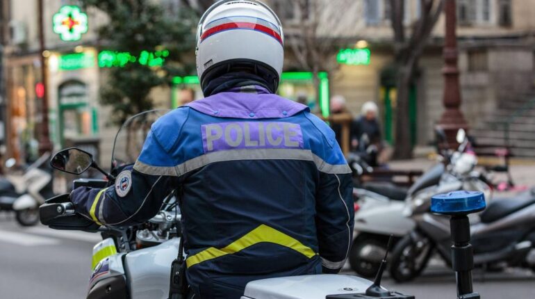 abattu par la police Actualités animales Agression Ajaccio faits divers faits divers Corse faits divers France