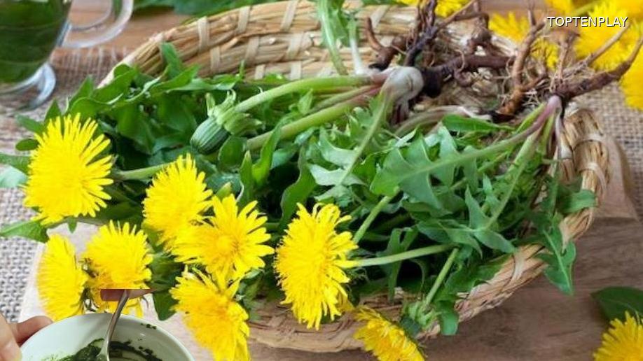 Symbolbild © TopTenPlay