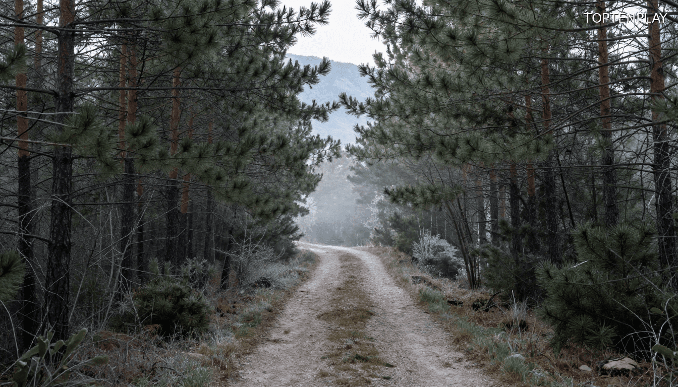 Image d'illustration © TopTenPlay