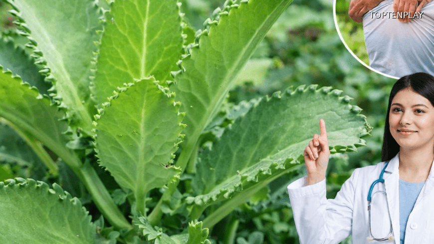 Symbolbild © TopTenPlay