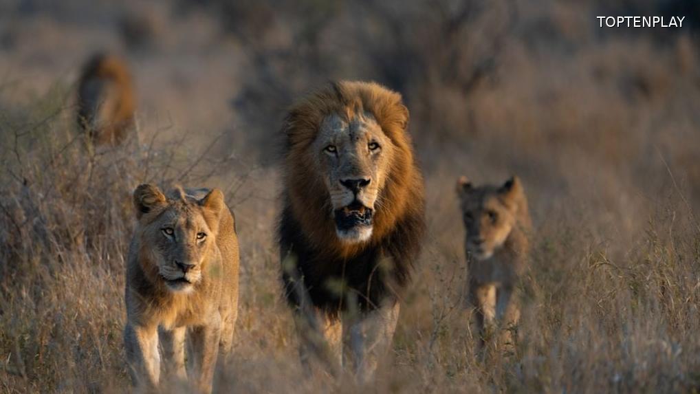 Image d'illustration © TopTenPlay