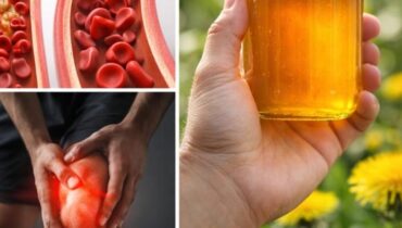 Alternatives foie gras bien être Digestion Pissenlit Santé naturelle Tisane