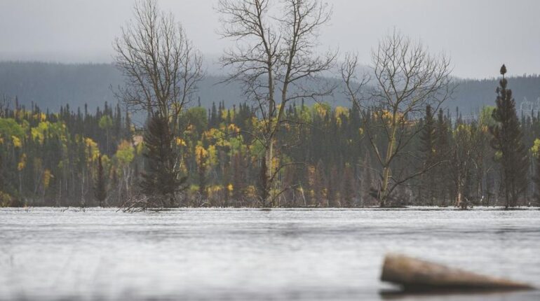 Crue Intempéries Los Angeles pour le passage aux urgences Rivière Sauvetage