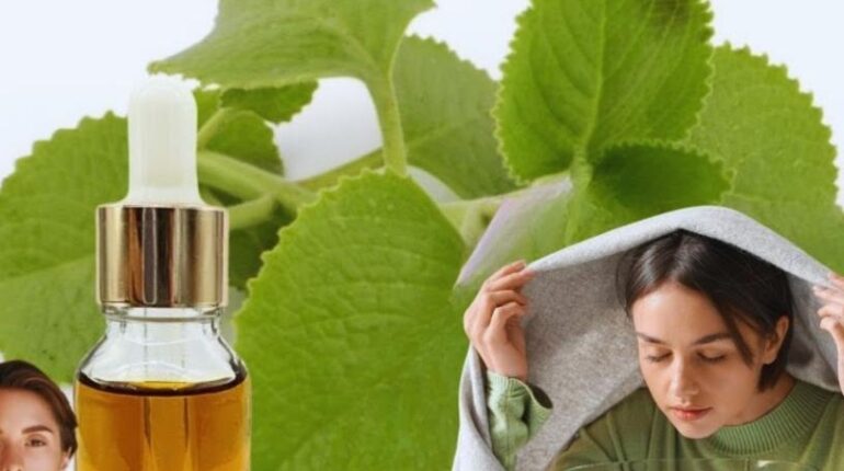 Santé oculaire : comment l’origan protège vos yeux du stress oxydatif et de la lumière bleue Antioxydants Bien-être visuel Lumière bleue Nutrition enfant Origan Santé oculaire