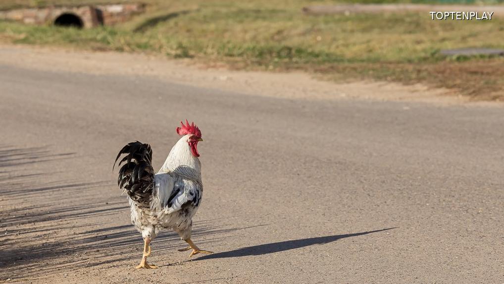 Image d'illustration © TopTenPlay