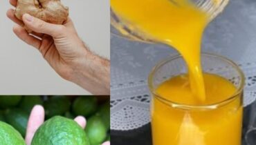 bien être Chèque énergie citron Digestion Gingembre Infusions Moringa