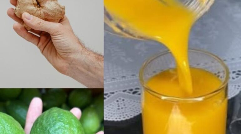 bien être Chèque énergie citron Digestion Gingembre Infusions Moringa