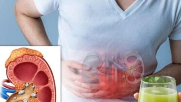 bien être Boissons énergisantes Détox fruits légumes Nutrition enfant Recettes fiscales