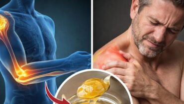 bien être Bienfaits des plantes Bienfaits santé Digestion Immunité Infusions Médecine naturelle