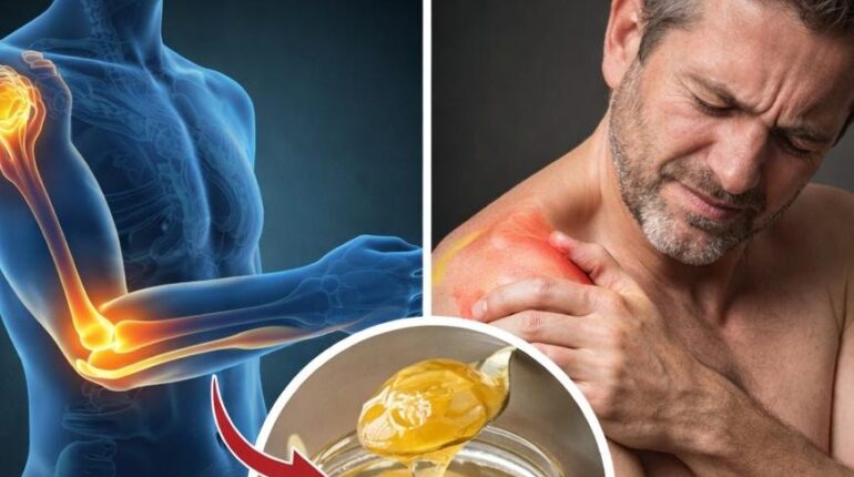 Thé de feuilles de goyave : comment cette infusion ancestrale soutient digestion, immunité et équilibre métabolique bien être Bienfaits des plantes Bienfaits santé Digestion Immunité Infusions Médecine naturelle