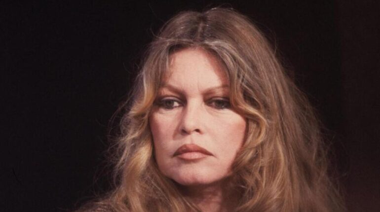 Brigitte Bardot : Bernard d’Ormale révèle le cancer derrière deux interventions chirurgicales discrètes Bernard d'Ormale Brigitte Bardot cancer chirurgie cinéma français Droits des animaux Saint-Tropez