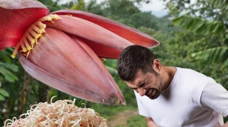 Alimentation asiatique Bienfaits santé Cœur de banane Cuisine végétarienne Digestion Régulation hormonale