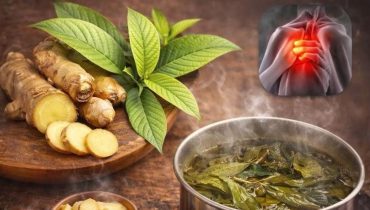 bien être Digestion glycémie Infusions Santé naturelle Soins de la peau Thé de goyave