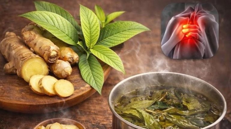 Thé de feuilles de goyave : comment cette infusion agit sur la digestion, la glycémie et la peau bien être Digestion glycémie Infusions Santé naturelle Soins de la peau Thé de goyave