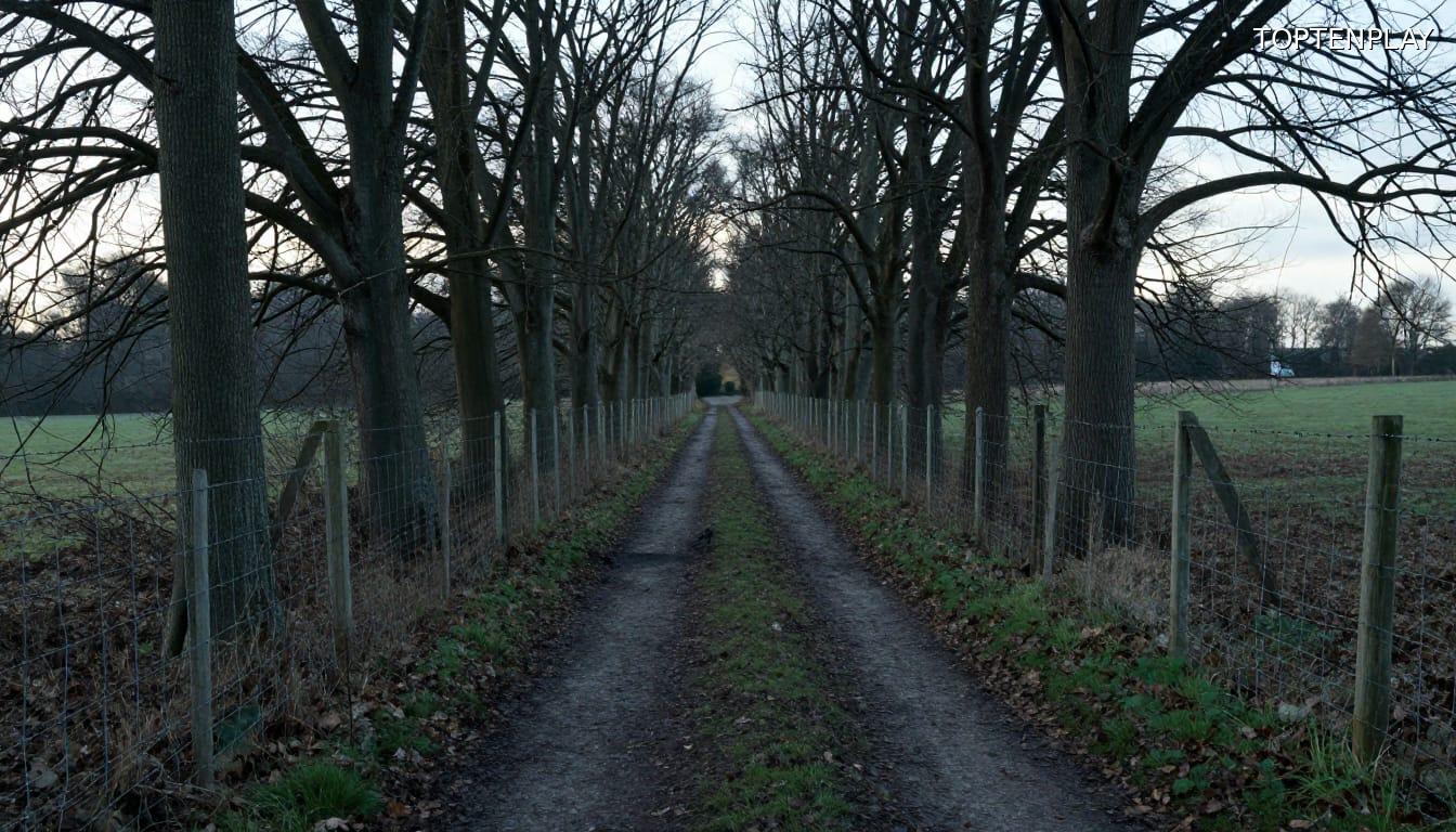 Image d'illustration © TopTenPlay