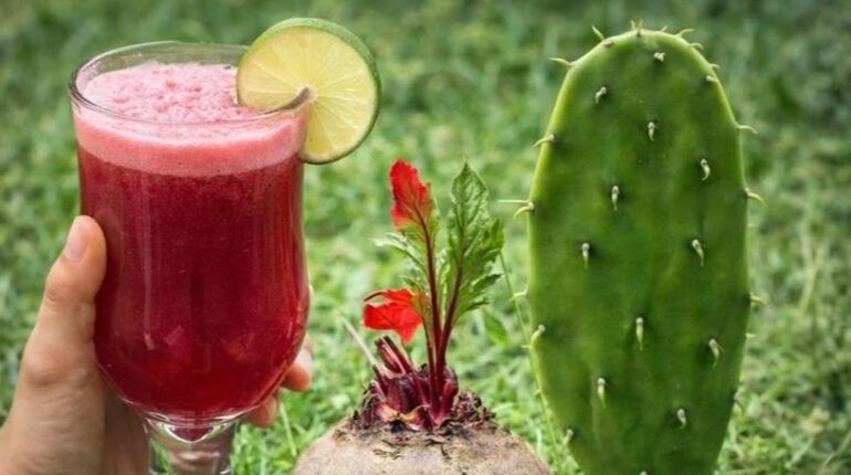 bien être Bienfaits santé boisson Nopal Nutrition des plantes Recette beauté Vitalité