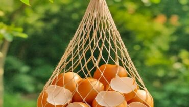 Amendement du sol Anti-limaces Compost Jardinage LE RECYCLAGE. Nutrition des plantes Protection des plantes