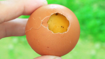 Astuce cuisine Astuces de cuisine Cuisson des œufs Œufs durs Œufs parfaits Recettes avocat 