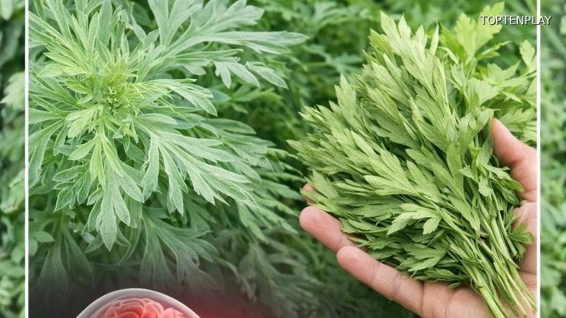 Symbolbild © TopTenPlay