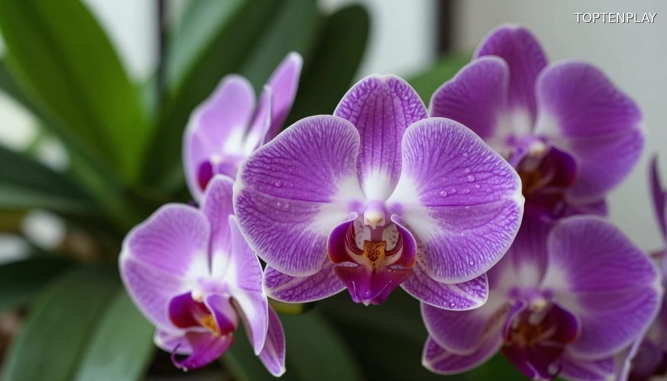 Symbolbild © TopTenPlay