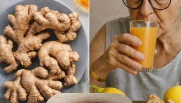 Actualités télévision bien être Jus de fruits et légumes Jus naturel Nutrition des plantes Santé oculaire