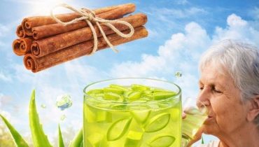 Aloe vera et cannelle : comment ce duo naturel soutient digestion, immunité et glycémie au quotidien Aloe vera et cannelle : comment ce duo naturel soutient digestion, immunité et glycémie au quotidien