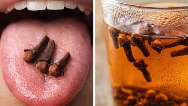 bien être Clou de girofle Digestion Immunité Infusions Santé naturelle