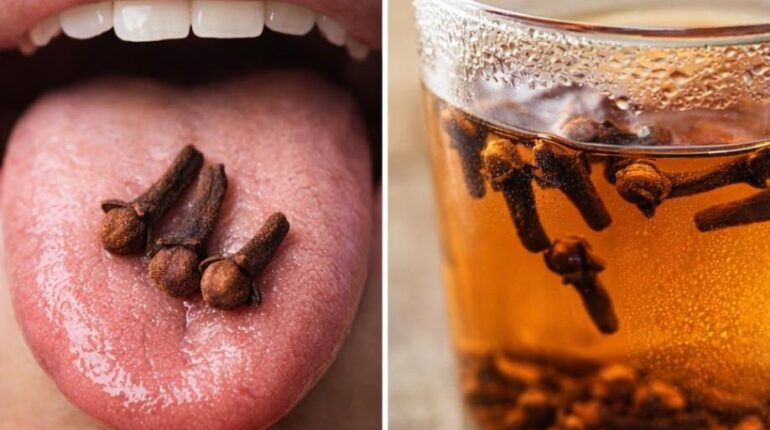 bien être Clou de girofle Digestion Immunité Infusions Santé naturelle