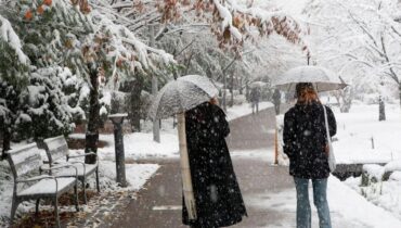 accusent la France Champignons de Paris Floraison hivernale Météo Moscou Scandinavie Vague de froid