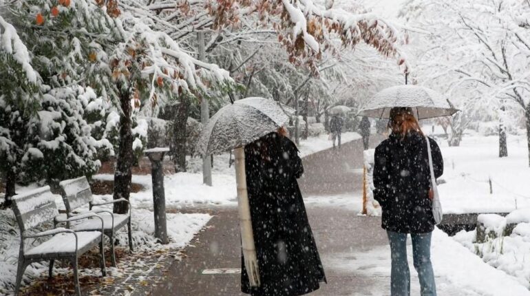 Vague de froid « Paris-Moscou » : comment un blocage en Scandinavie pourrait faire basculer l’Hexagone dans un hiver tardif d’ici fin janvier accusent la France Champignons de Paris Floraison hivernale Météo Moscou Scandinavie Vague de froid